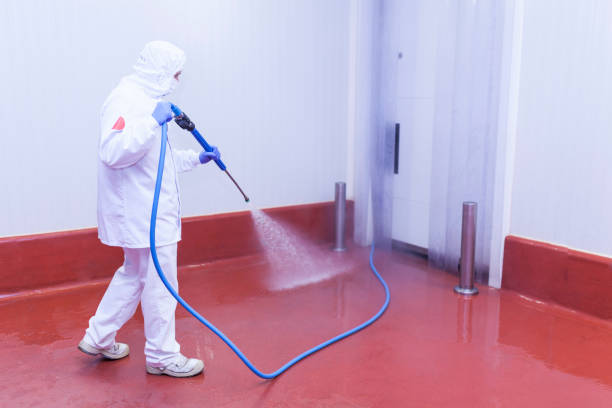Best Sign and Awning Cleaning  in Appleton City, MO