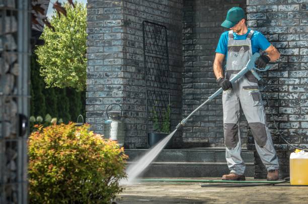 Best Sidewalk and Walkway Cleaning  in Appleton City, MO