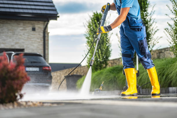 Best Gutter Cleaning  in Appleton City, MO